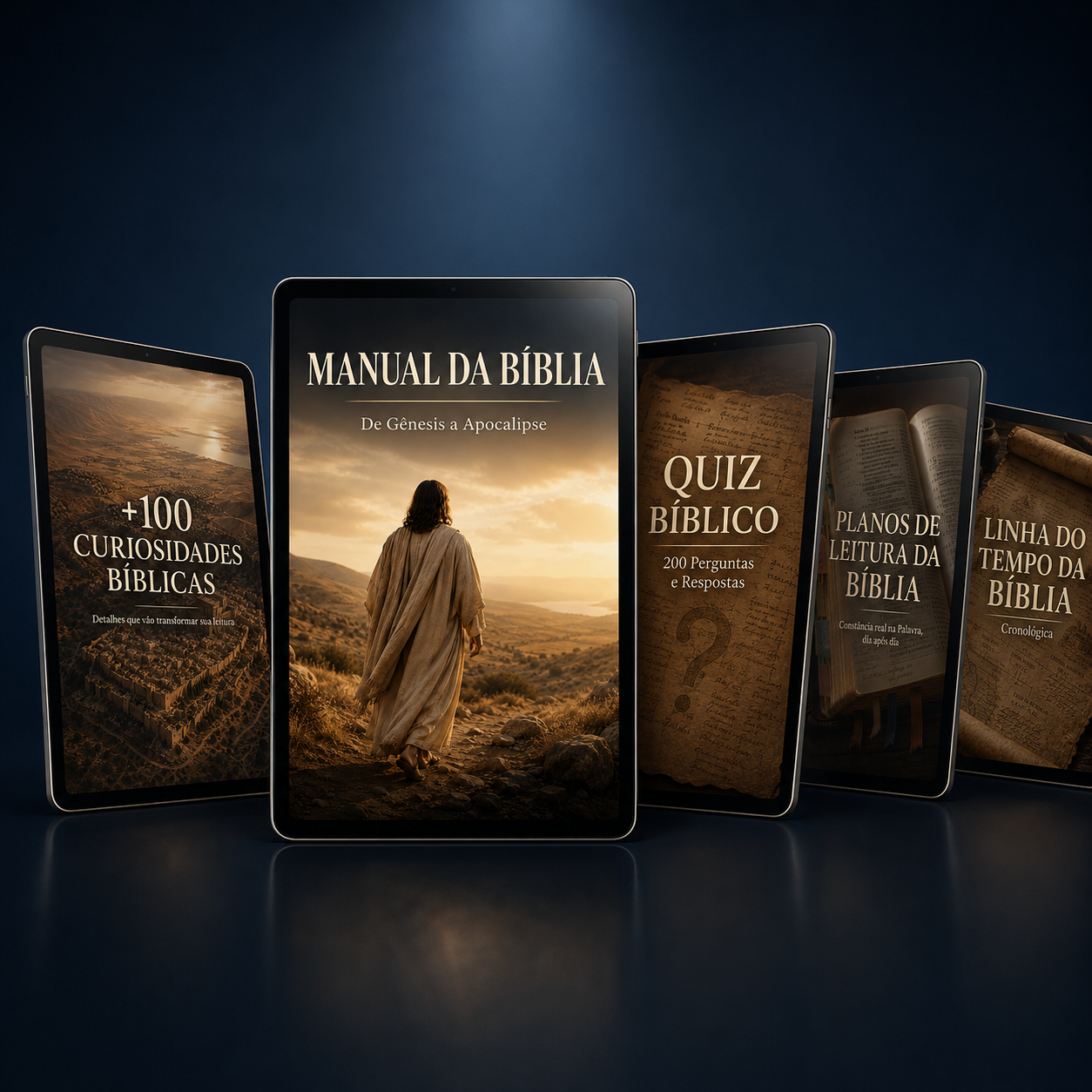 Manual da Bíblia por dentro